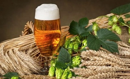 精釀啤酒中，如何選擇恰當(dāng)?shù)慕湻椒ǎ?> </a>
    </dt> 
    <dd> 
     <h4><a href=